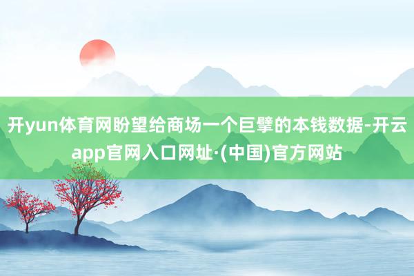 开yun体育网盼望给商场一个巨擘的本钱数据-开云app官网入口网址·(中国)官方网站