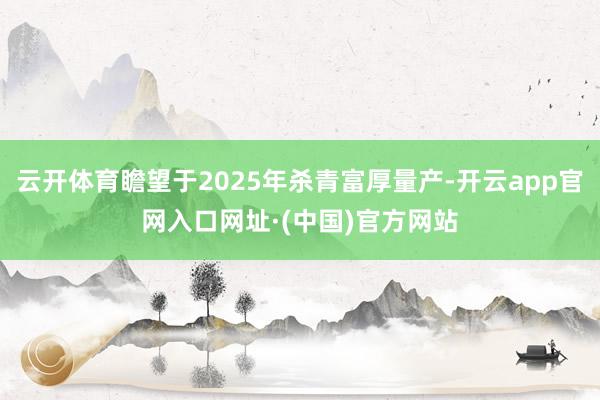 云开体育瞻望于2025年杀青富厚量产-开云app官网入口网址·(中国)官方网站