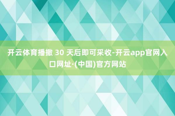 开云体育播撒 30 天后即可采收-开云app官网入口网址·(中国)官方网站