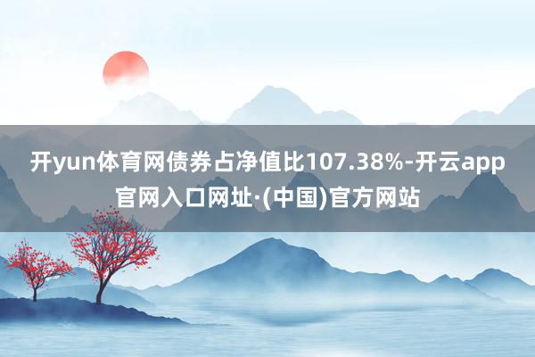 开yun体育网债券占净值比107.38%-开云app官网入口网址·(中国)官方网站