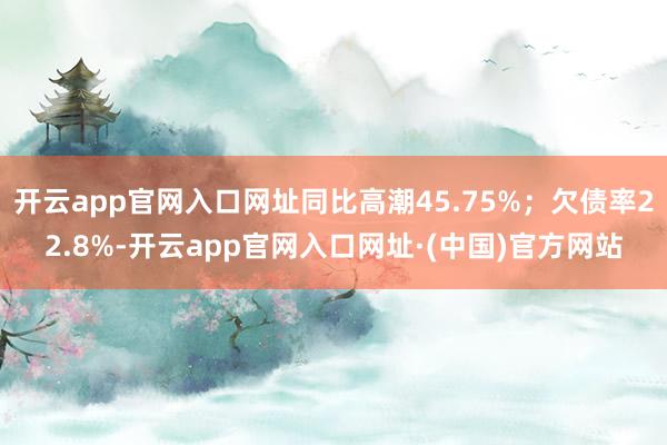 开云app官网入口网址同比高潮45.75%；欠债率22.8%-开云app官网入口网址·(中国)官方网站