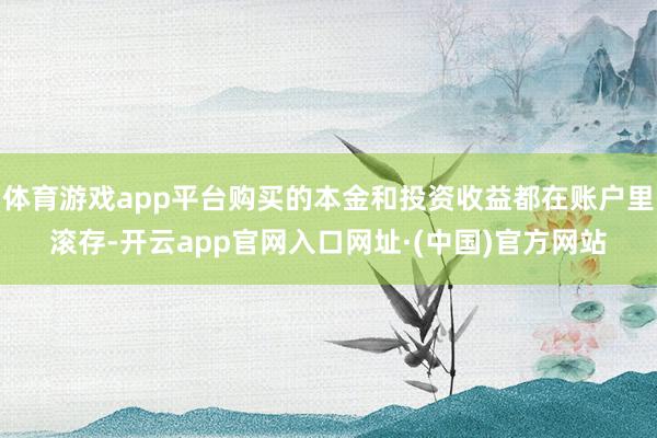 体育游戏app平台购买的本金和投资收益都在账户里滚存-开云app官网入口网址·(中国)官方网站