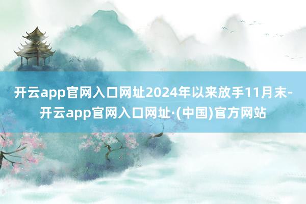 开云app官网入口网址2024年以来放手11月末-开云app官网入口网址·(中国)官方网站