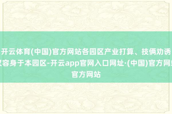 开云体育(中国)官方网站各园区产业打算、技俩劝诱仅容身于本园区-开云app官网入口网址·(中国)官方网站